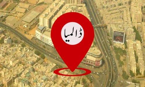 دالمیا branch